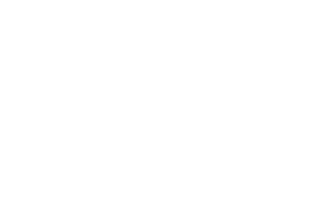 logo Privacy Encode Bianco